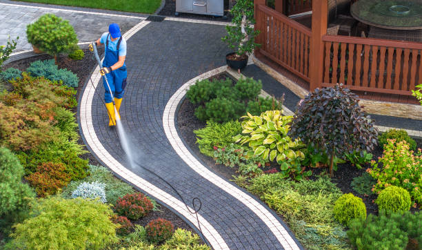 Best Pressure Washing Brick  in Deer Park, TX
